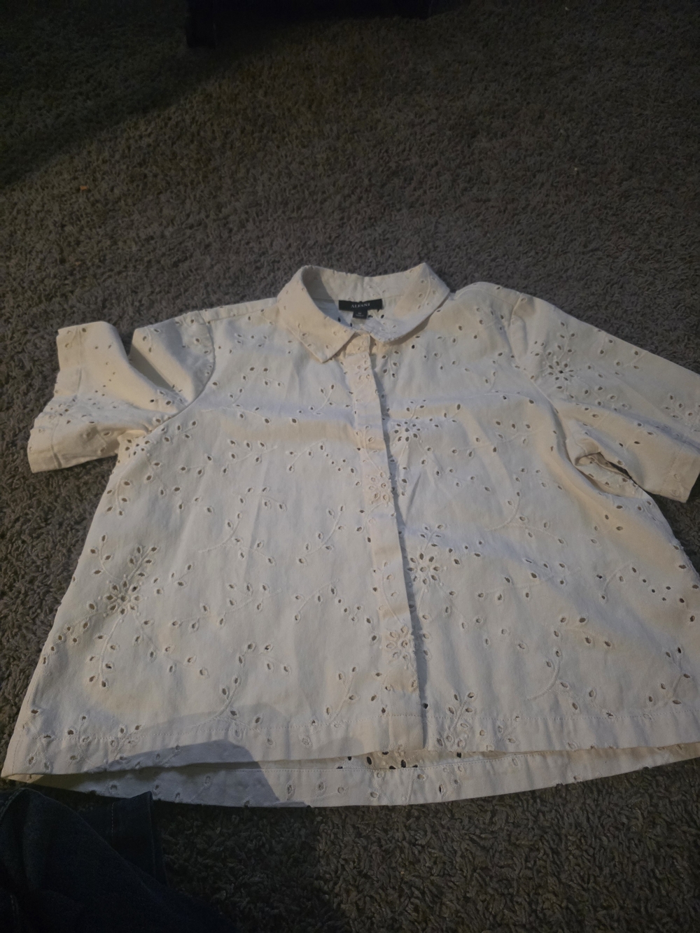 Alfani Cream Eyelet Button-Up Blouse